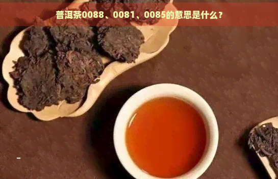 普洱茶0088、0081、0085的意思是什么？