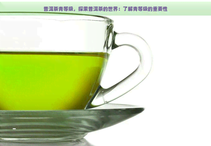 普洱茶青等级，探索普洱茶的世界：了解青等级的重要性