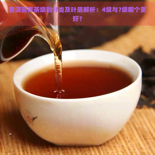 普洱茶青茶级别分类及叶底解析：4级与7级哪个更好？