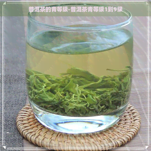 普洱茶的青等级-普洱茶青等级1到9级